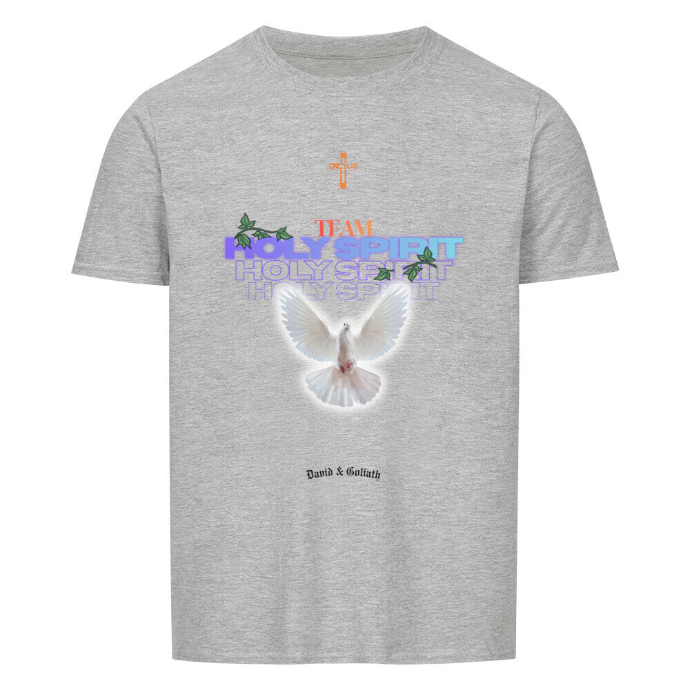Team Holy Spirit T-shirt in Sport Grey